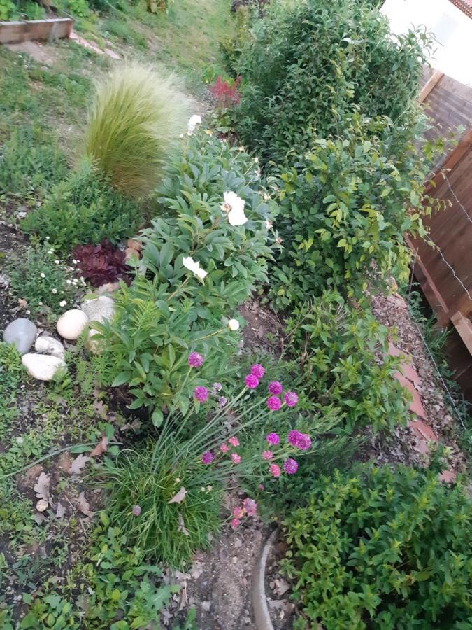 Atelier Natur'L Les Ronzieres Saint-Paul-d'Uzore 外观 照片